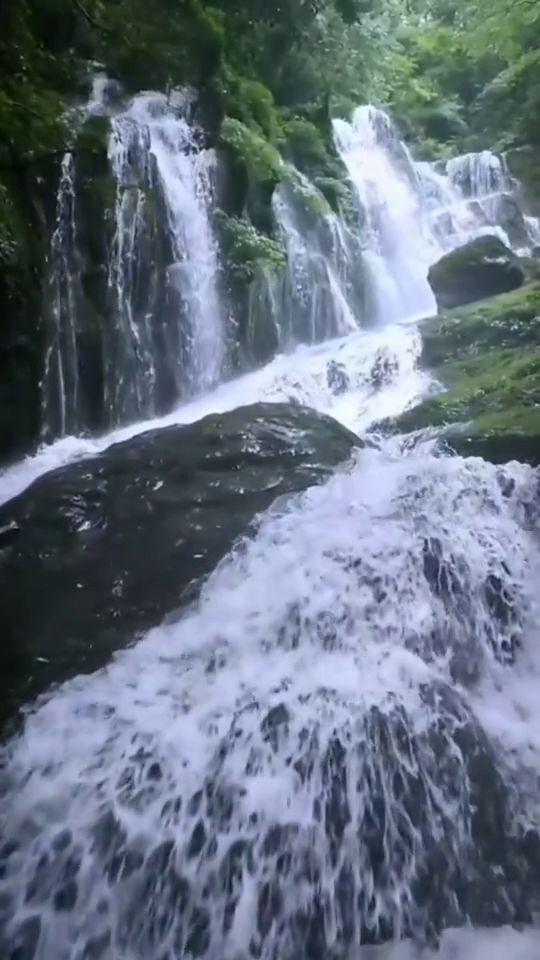 鼻涕和痰是一回事吗?